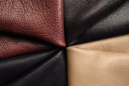 colorful skins sample colorful skins sample