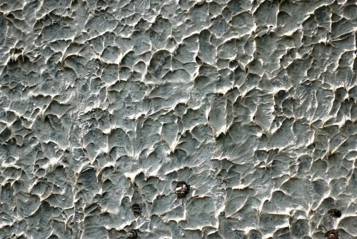 A closeup shot of a rustic wall texture - perfect for a cool background